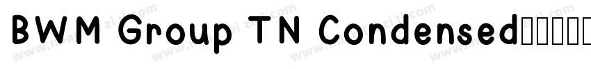 BWM Group TN Condensed字体转换